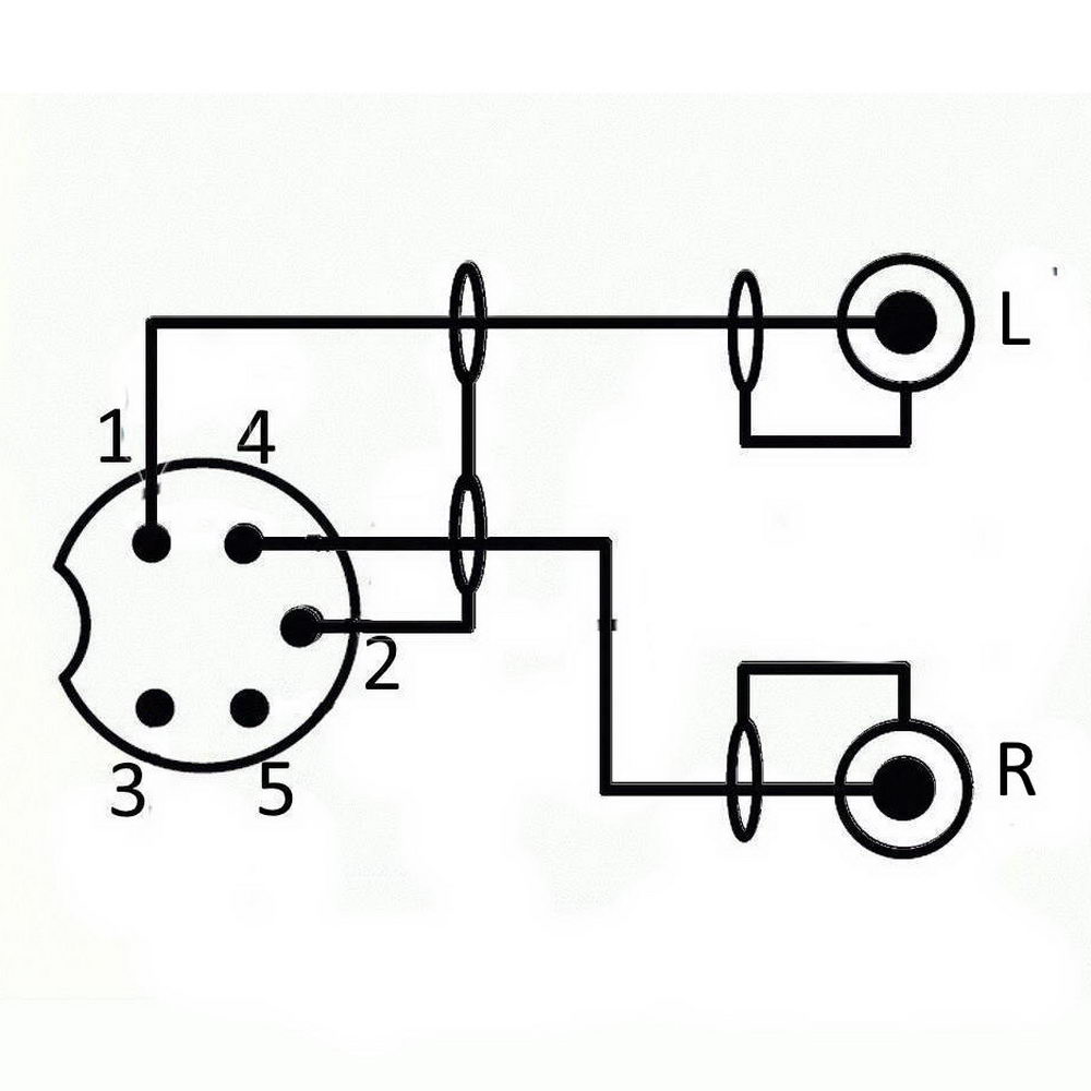 DIN-Audio-Kabel, 5-poliger Stecker zu 2 Cinchstecker, 1,5m, Belegung 1/4 –  wirelex